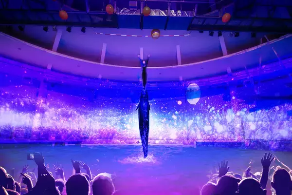 「アクアワールド茨城県大洗水族館のイルカ・アシカオーシャンライブとオーシャンナイトライブ「WOOOOARAI！ーここから始まる、出会いの物語ー」「FLOW A LIFE―鼓動する命の海―」がスタート」の画像