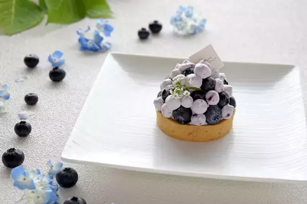 「ハイアット リージェンシー 東京　東京都立川産の完熟ブルーベリーをふんだんに使用したアシェット・デセール“オリエンタル” 6月12日提供開始」の画像