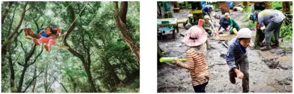 「「森林共創パートナー事業」第２期パートナー募集！」の画像