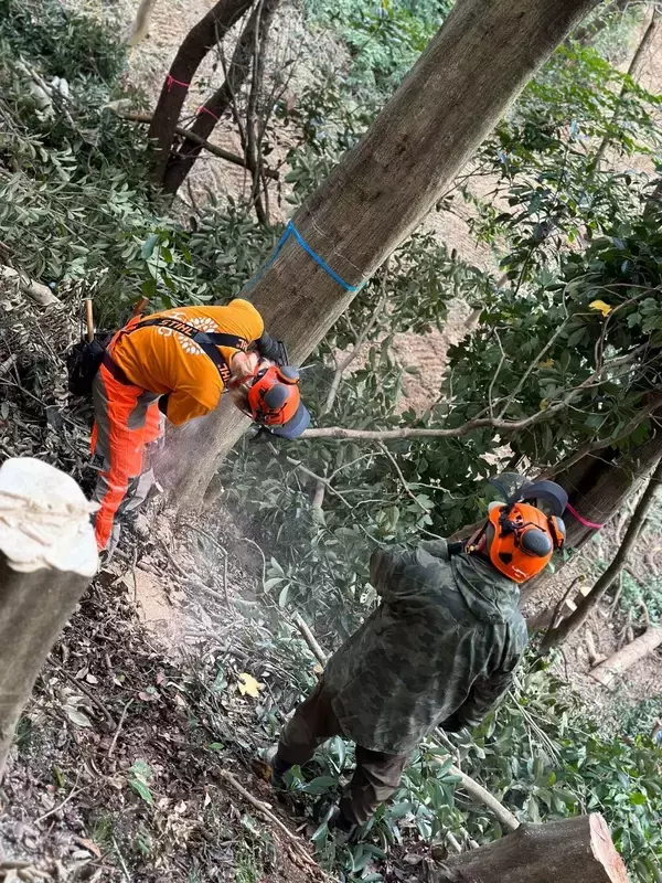 「「森林共創パートナー事業」第２期パートナー募集！」の画像