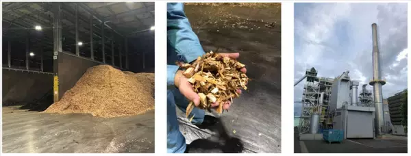 「「森林共創パートナー事業」第２期パートナー募集！」の画像