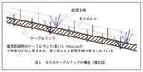 「【名城大学】巨大地震から建物内の電力・通信ケーブルを守る新技術　― 吊り式ケーブルラックの弱点を実大実験で解明し、簡易補強法の有効性を実証―」の画像1