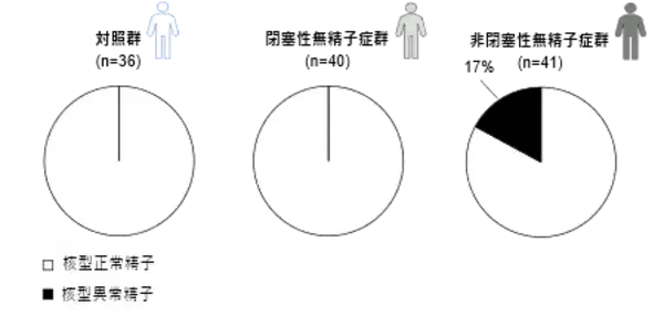 【横浜市立大学】無精子症患者精子の新たな核型解析手法を開発