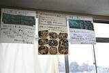 「博展、横浜市の小学6年生と廃棄予定の体育館の床材をアップサイクル」の画像3