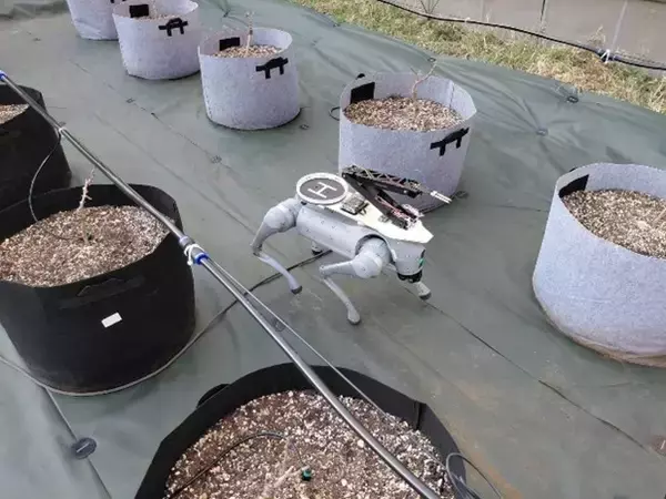 「【東京農業大学】バイオロボティクス研究室が栽培管理ロボットの研究開発を開始 　～変化自在のバックパック「ランドセル」システムで「農型スマートグリーンシティ」構築を目指す～」の画像