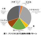 「バイオ燃料がアフリカの食糧価格押し上げ　経済学部・郭教授ら　最新計量経済モデルのデータ分析で解明 -- 摂南大学」の画像1