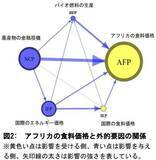 「バイオ燃料がアフリカの食糧価格押し上げ　経済学部・郭教授ら　最新計量経済モデルのデータ分析で解明 -- 摂南大学」の画像2