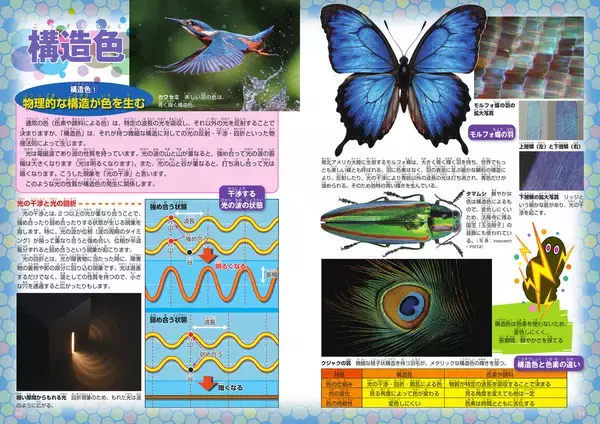 「東京工芸大学・色の国際科学芸術研究センター監修『ずかん「色」』が発行 ― 身の回りの「色」のフシギを徹底解剖」の画像