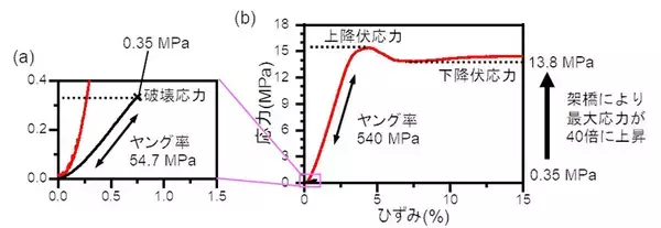 「タンパク質結晶の高強度化と高延性化を実現」の画像