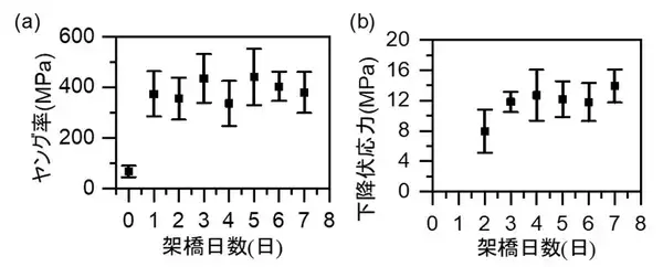 「タンパク質結晶の高強度化と高延性化を実現」の画像