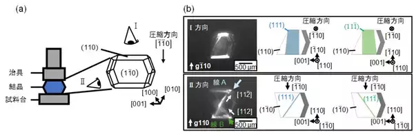 「タンパク質結晶の高強度化と高延性化を実現」の画像