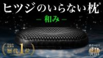 通気性に特化した新モデル『ヒツジのいらない枕® ー和みー』がMakuakeの枕製品応援購入金額、歴代1位に