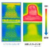 「通気性に特化した新モデル『ヒツジのいらない枕® ー和みー』がMakuakeの枕製品応援購入金額、歴代1位に」の画像2