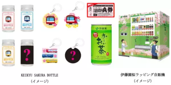 「「三浦海岸河津桜2026」キャンペーンを開催します！」の画像