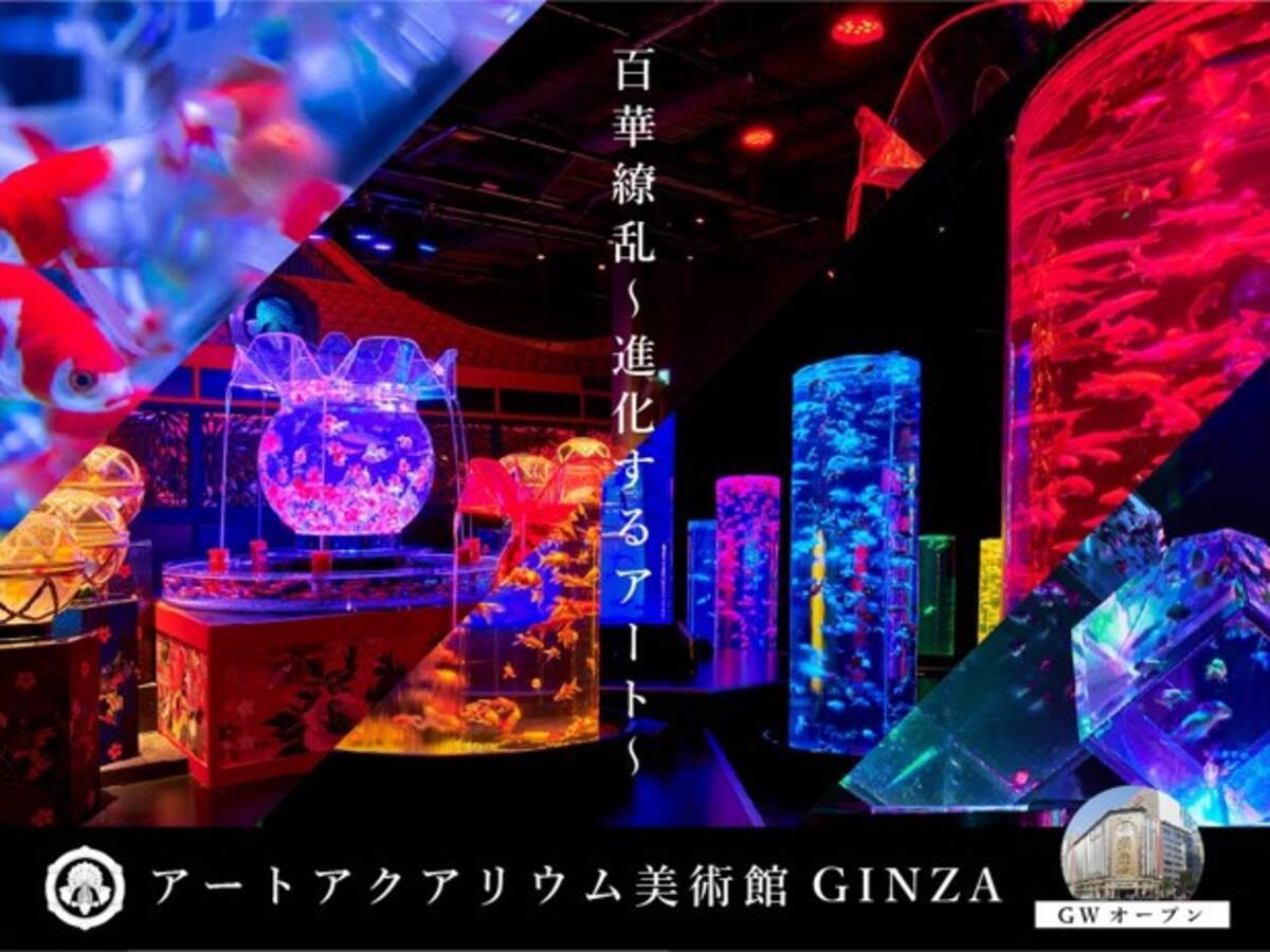 アートアクアリウム美術館ginzaオープン 日本の中心 銀座に22年5月3日 火 祝 開業へ 22年4月13日 エキサイトニュース