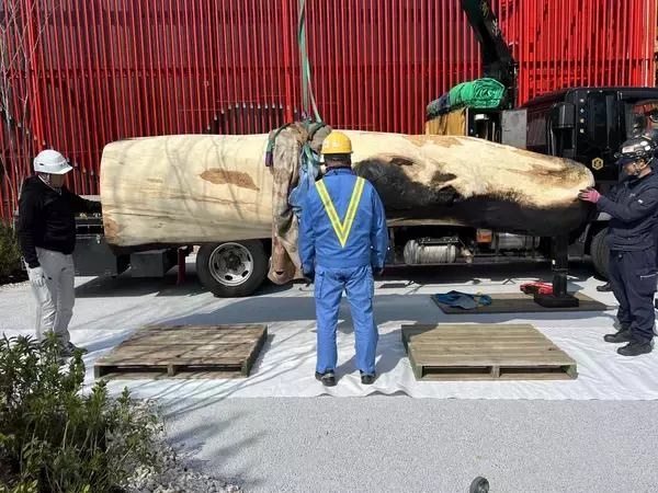 「大阪・関西万博出展社への支援について」の画像