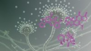 ナノイー(帯電微粒子水)技術が、人体に有害なマイコトキシン（カビ毒）※1を不活化