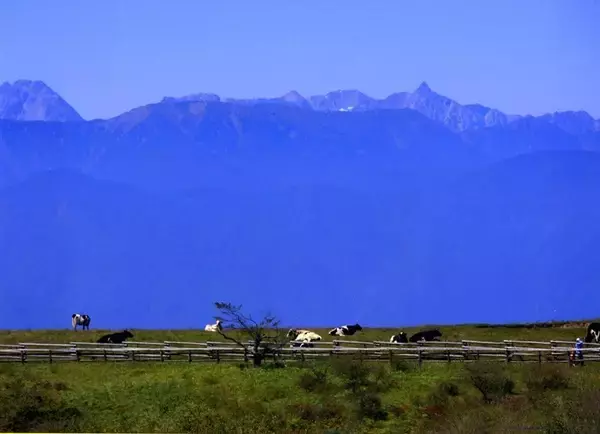 【大パノラマの高原で初イベント！】標高1665ｍ高ボッチ高原で音楽イベント「高ボッチFES」を開催します。