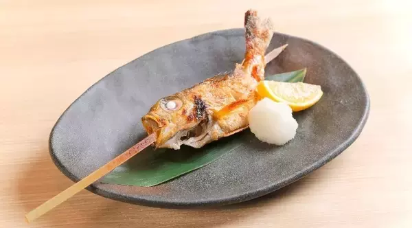 「近大ノドグロ」の特別メニューを期間・数量限定で販売！　「白身のトロ」と呼ばれる高級魚を養殖し、直営店で初提供