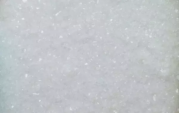 【京都 蔦屋書店】田中嵐の個展「Mimesis」を1月10日（土）より開催。「結晶化」というプロセスを通じて、⽣命が刻んだ記憶と時間を再構築する。