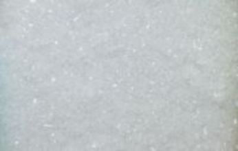 【京都 蔦屋書店】田中嵐の個展「Mimesis」を1月10日（土）より開催。「結晶化」というプロセスを通じて、⽣命が刻んだ記憶と時間を再構築する。