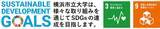「【横浜市立大学】iPS細胞由来マクロファージが腫瘍を縮小する新免疫療法を開発」の画像2