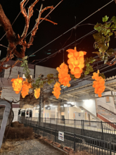 【冬に実る光のぶどう「ふゆみのり」今年もスタート！】塩尻駅東口のぶどう棚に春を待つぶどうの息吹と温もりを感じる光ぶどうを点灯します。