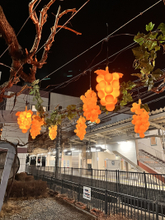 【冬に実る光のぶどう「ふゆみのり」今年もスタート！】塩尻駅東口のぶどう棚に春を待つぶどうの息吹と温もりを感じる光ぶどうを点灯します。