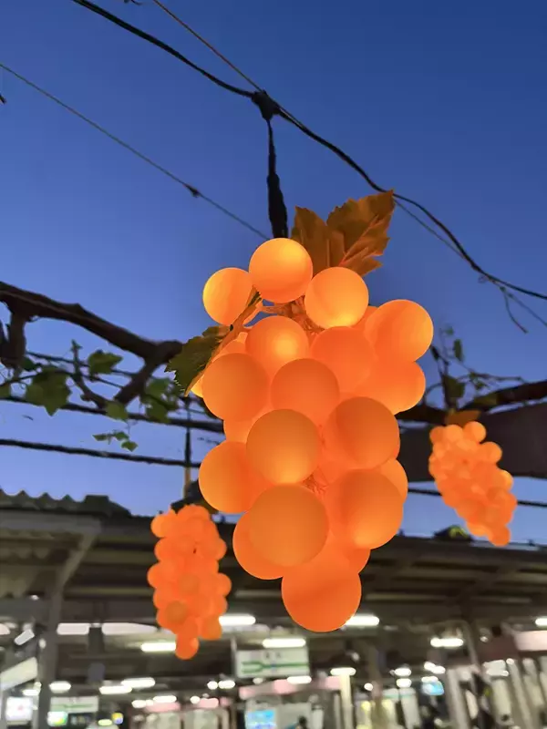 「【冬に実る光のぶどう「ふゆみのり」今年もスタート！】塩尻駅東口のぶどう棚に春を待つぶどうの息吹と温もりを感じる光ぶどうを点灯します。」の画像