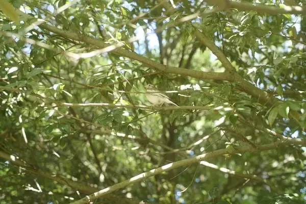 「工場も、人も、自然も。河村電器産業の"音"を3時間の作品に」の画像