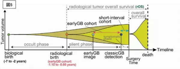 「膠芽腫の画像起源の解明～いつから腫瘍は存在していたのか？～（北里大学）」の画像