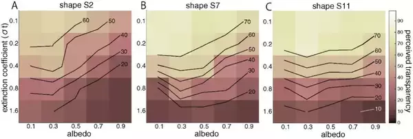 「【玉川大学脳科学研究所】“透明感”を生む特徴とは？― 物体の質感知覚に関わる光学的要因の性質を明らかにし、新たなニューロンを発見」の画像