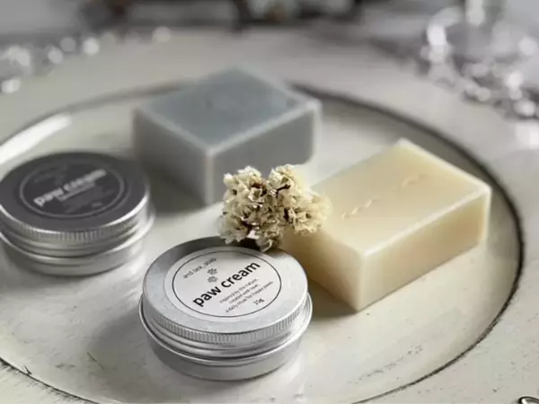 「【満開速報】約300m「桜のトンネル」が今週見頃！ 那須千本松牧場で「桜×どうぶつ×食×音楽」のお花見イベント」の画像