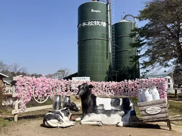 「【満開速報】約300m「桜のトンネル」が今週見頃！ 那須千本松牧場で「桜×どうぶつ×食×音楽」のお花見イベント」の画像