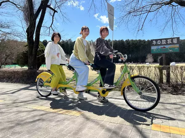 「【満開速報】約300m「桜のトンネル」が今週見頃！ 那須千本松牧場で「桜×どうぶつ×食×音楽」のお花見イベント」の画像