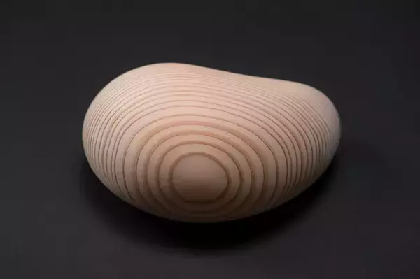 「【イベントのお知らせ】山と木と生きることを体験する上映会「山と木の映画祭」と、全国の山のめぐみを販売するマルシェイベント「有楽町モクイチ」を開催」の画像