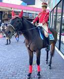 「「働く乗り物大集合！キッズパークたまどうまつり２０２６」を２月１日（日）に開催します！～コンセプトは『見て、触れて、体験して学ぶ』～」の画像2