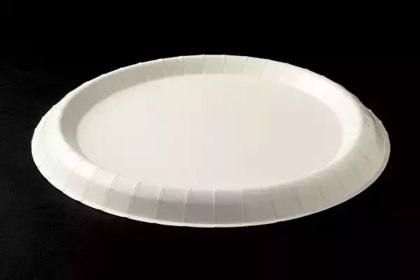 サンナップ、業界初の”風に飛ばされにくい”紙皿「風に強いペーパープレート」を2026年3月に販売開始！