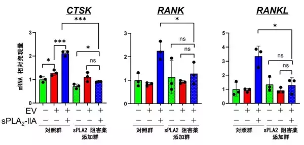 「【日本大学】歯周病の増悪にウイルスが関与か」の画像