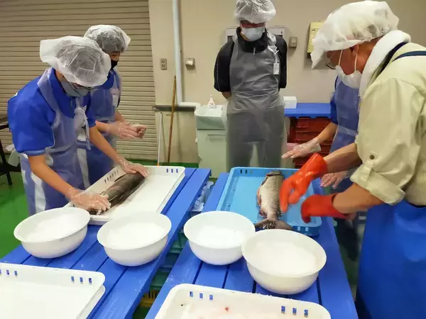 「【東京農業大学第三高等学校・附属中学校】3年ぶり！中学3年生　体験型修学旅行が実現。併設大学「東京農業大学北海道オホーツクキャンパス」を訪れました。」の画像
