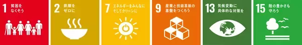 「バイオマス増加をもたらすF1雑種における代謝物の変化を解明」の画像
