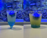 「【すみだ水族館】クラゲとともに自分時間をゆったり過ごす「ゆらめく時間展 光の中で、クラゲと。」開催」の画像12