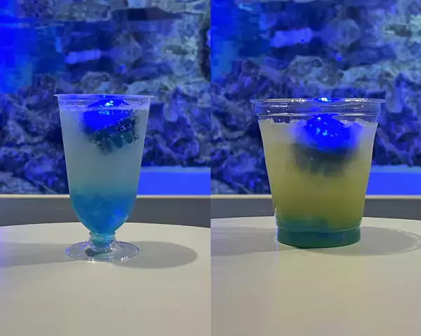 「【すみだ水族館】クラゲとともに自分時間をゆったり過ごす「ゆらめく時間展 光の中で、クラゲと。」開催」の画像