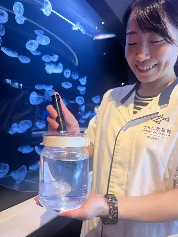 「【すみだ水族館】クラゲとともに自分時間をゆったり過ごす「ゆらめく時間展 光の中で、クラゲと。」開催」の画像
