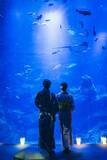 「【京都水族館】夏休みに先駆けて6日間限定のナイトタイム「夜のすいぞくかん 西の界・東の界」チケット販売開始」の画像2