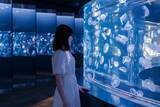 「【京都水族館】夏休みに先駆けて6日間限定のナイトタイム「夜のすいぞくかん 西の界・東の界」チケット販売開始」の画像4