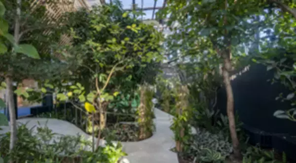 「「KIRISHIMA GREENSHIP icoia」が1月27日についに開業！都城の豊かな自然を心と体で感じられる、みんなの“いこい”の場。」の画像