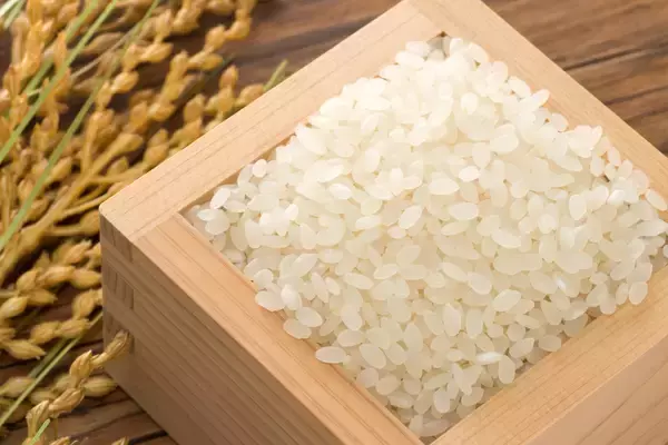 「【とんかつ神楽坂さくら】世界が認めた美味しさ「大麦仕上三元豚」が登場。“大麦”で仕上げ、あっさりとした上質な脂が特長の、厚切りご馳走とんかつ」の画像