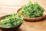 「【しゃぶしゃぶ温野菜】8月31日の「野菜の日」にちなんで食べ放題が「831円」OFF！10日間だけのおトクなキャンペーンを実施」の画像12