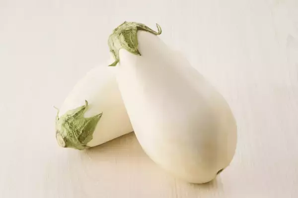 「【しゃぶしゃぶ温野菜】8月31日の「野菜の日」にちなんで食べ放題が「831円」OFF！10日間だけのおトクなキャンペーンを実施」の画像